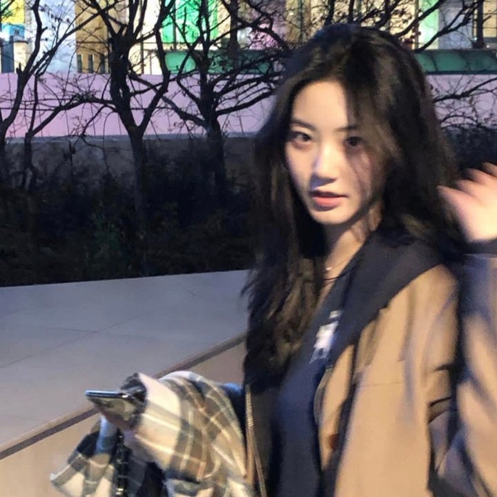笨钱效应