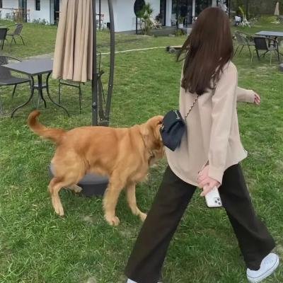哈姆莱特